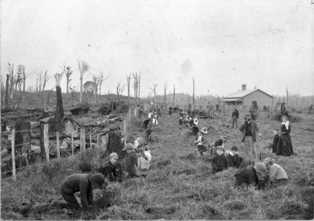 Toko School 1900