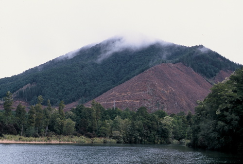lake Rotoroa with clear cutting