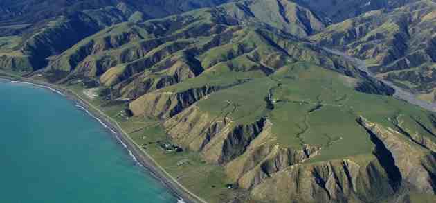 Palliser Bay
