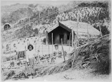 Young Maori girl at Te Ariki Pa. Shows her standing alongside a vegetable garden and a whare. Photograph taken in the 1880s by the Burton Brothers.