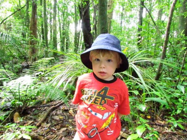 Carter in kohekohe grove, Waikanae