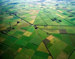 Charing Cross, Canterbury Plains