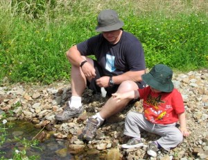 throwing stones into stream