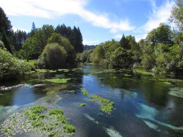 The place of 5000 pennies – Hamurana Springs – envirohistory NZ