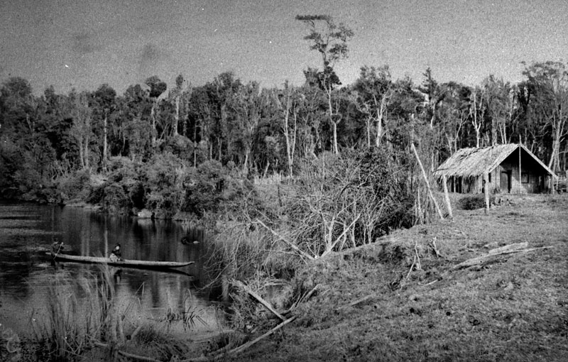 Awapuni Lagoon 1881