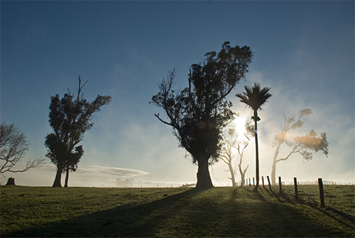 Nikaunui morning by Paul Knight