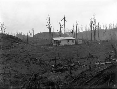 farmhouse on newly burnt bush land 1905