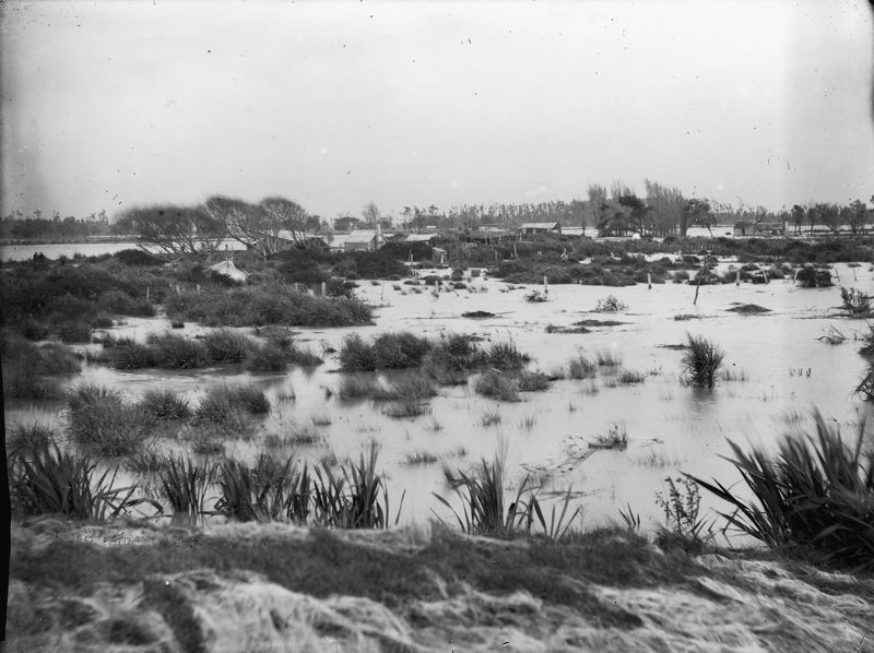 Swamp area around Manawatu River 1904