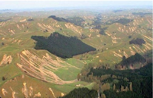 Multiple slips in the Manawatu following the 2004 storm (Source: NZ Farm Forestry Association)