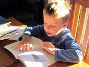 "Home in the Howling Wilderness" should appeal to a wide audience