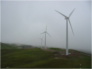 Te Apiti wind farm