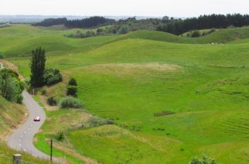 Hiwinui farmscape JPG