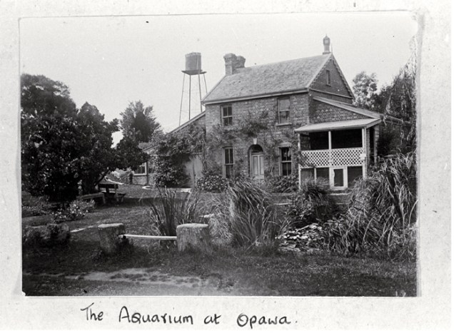 Opawa aquarium