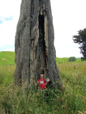 Bruce Park Reserve06