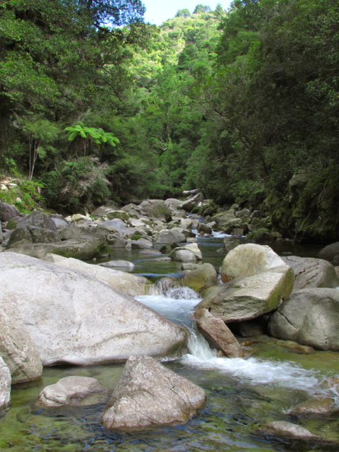Wainui River 1