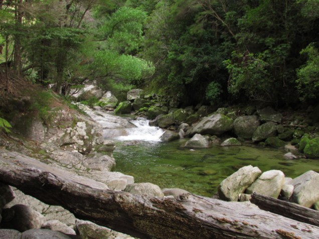 Wainui River 2