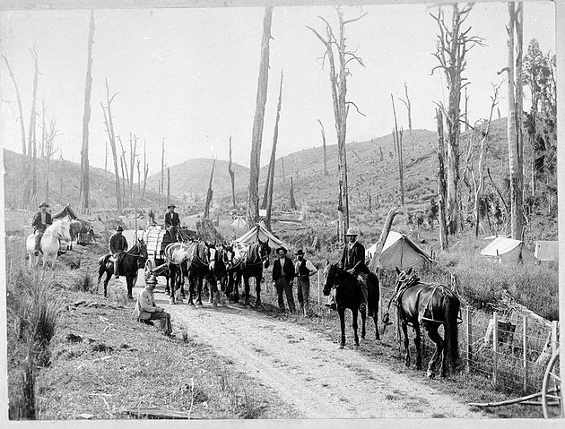 Opawe Road 1904
