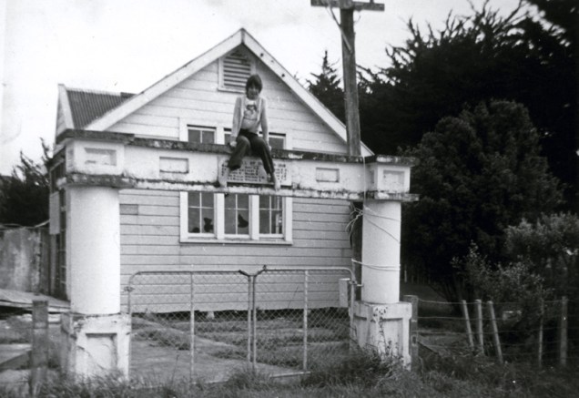 Awahou South School in situ.jpeg