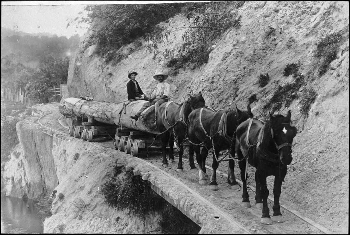 Hauling log Te Awaoteatua Stream.jpg