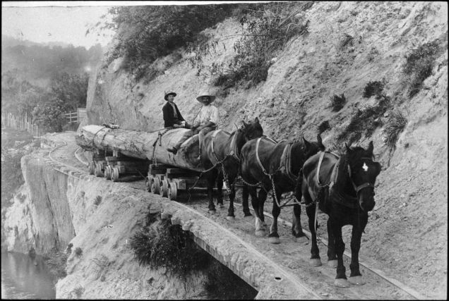 Hauling log Te Awaoteatua Stream.jpg