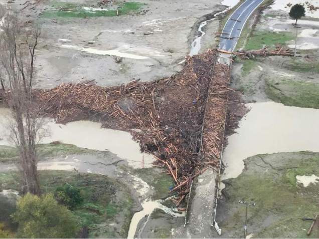 forestry slash damage.jpeg