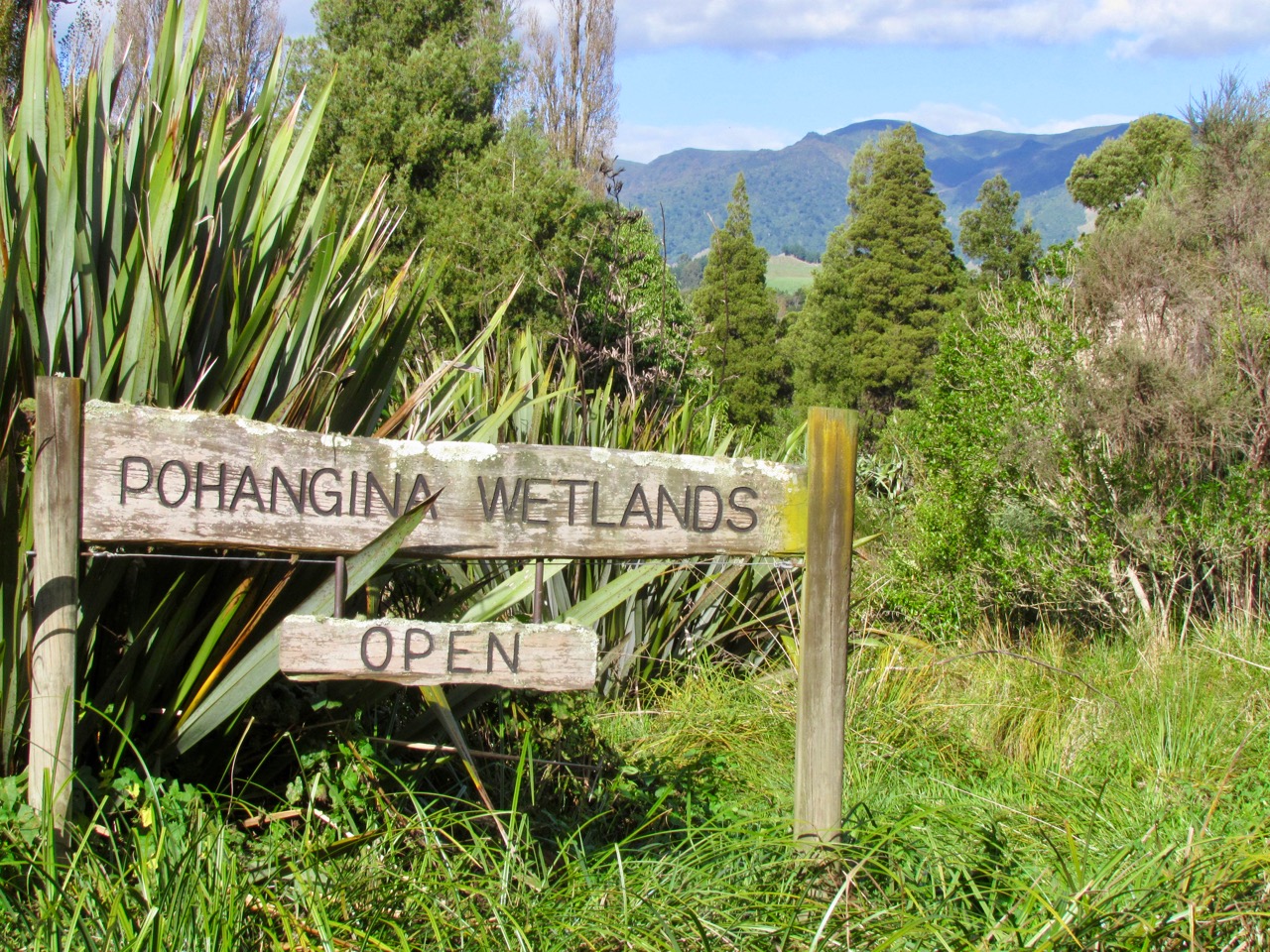 Pohangina wetland.jpg