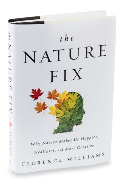 the nature fix.jpg