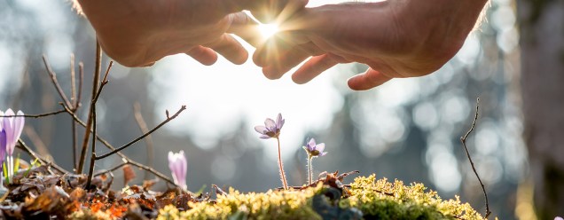 nature_and_wellbeing