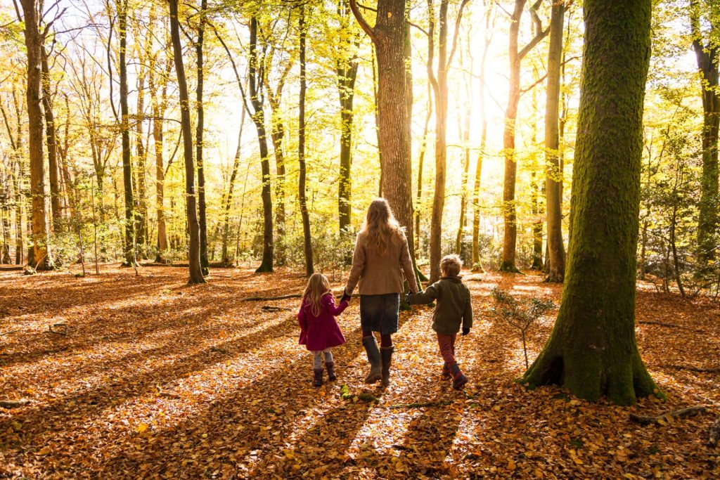 walking in autumnal woodland.jpg