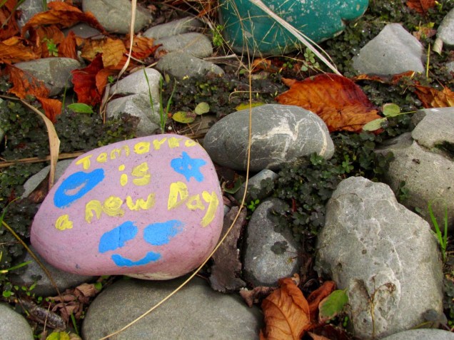 rocks in the Recovery Garden